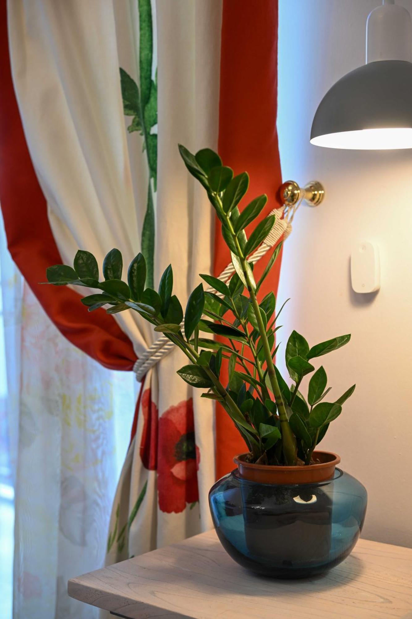 Academia Stay Ήσυχα & Στο Κέντρο Ioannina Extérieur photo